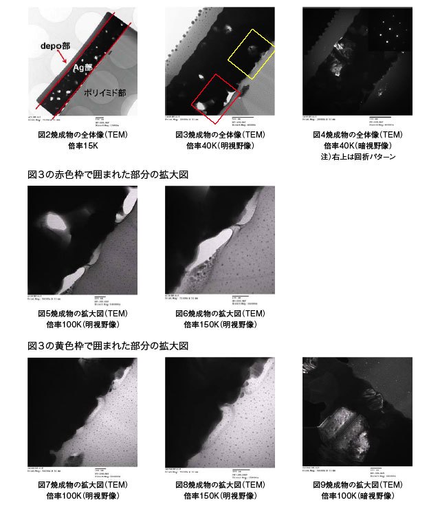 那个藏在旧硬盘里的双重影像，编号写着“未知”！