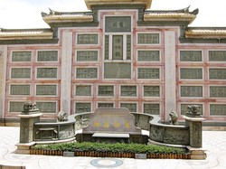 高加索巨龟—千年孤独的守望者，守着不为人知的秘密