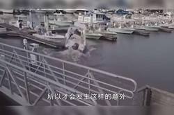 南海之上，生命的奇迹与灵魂的呼唤？