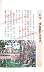 那晚我在湖边向树精占卜，得到的答案有点意外…