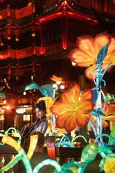 守护者之肩丨与喜马拉雅雾灵对话