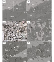 喜马拉雅石刻发光未知孢子｜揭开雪域高原的神秘面纱