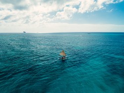 塞班岛—一场关于生命伦理的悲剧