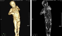 光学幻影骨骸残迹—自然界的神奇与人类的困惑