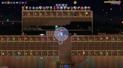 沼泽深处，灾厄蛟龙｜一场未知的冒险