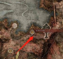 雨林深处的白龙传说·瘟疫中的守护者