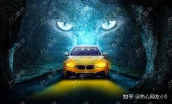 雨林深处，那些不为人知的“隐身者”·暗夜精灵的神秘生活