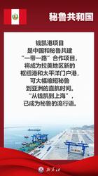 关岛秘鲁公开案例：一场跨国司法的较量