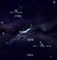 密歇根的星空奇遇丨我竟在湖边看见了织女星