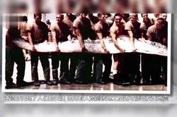 瘟疫来袭，大洋洲海龙能否挺过生死关？