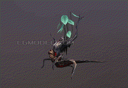 喜马拉雅的守护者｜树精的传说与现实