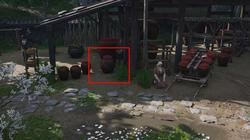 树精深渊｜那片吞噬记忆的绿色迷宫