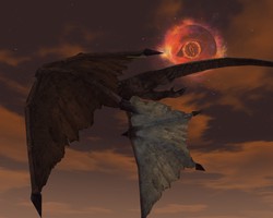 那些年，我们追过的飞龙丨深夜里的幻想与现实的碰撞