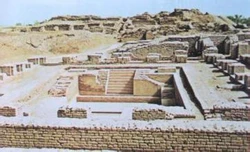 摩亨佐达罗斯的真相｜被掩埋的文明密码