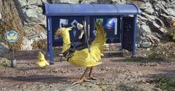 深渊平原的残鸣·骨骸与鸟群的永恒对话