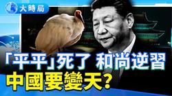 镜面碎片｜一桩离奇的失踪案