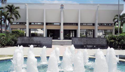 开曼群岛神秘“光之会”—一场超现实的人间奇遇