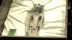 沙特的神秘面纱丨外星控制的传言与真相