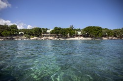 毛里求斯上空的不速之客丨我们真的孤独吗？