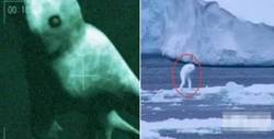 南极的神秘白龙｜探寻未解之谜的奇幻之旅