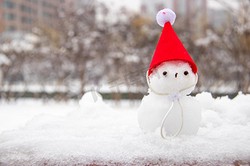 冰与火的奇幻邂逅—雪怪烈焰的传奇之旅