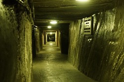 盐湖边的石头，写满了没人读的字！