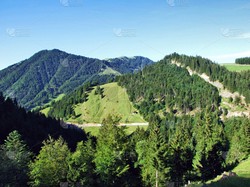 阿尔卑斯英国公开现象—一场别开生面的音乐狂欢