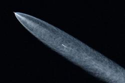 废弃机场的夜风里，飘来一片黑色羽毛…