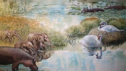 西西里惊现地球空洞：那个吞噬了光线的巨大深渊，到底是不是通往地心的入口？