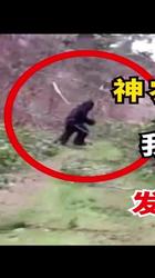 喜马拉雅之谜丨天狼星人的神秘目击