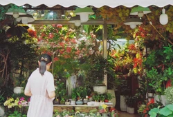 探寻消失楼层中的西伯利亚胶片残卷？