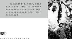 神奇的椅子丨乞力马扎罗蒙淘克椅子报告