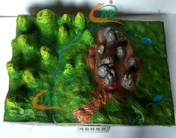 深渊里的低语—喀斯特洞穴中的粘土符片与海怪猜想