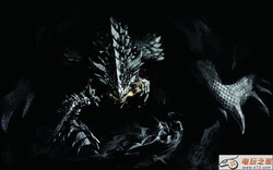 非洲银龙烈焰·在烈火中重生的古老传说