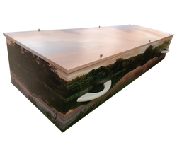 沙漠深处的绿光奇迹丨探索神秘的绿光晶体棺