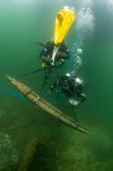 好望角，那道社会控制的风景线！