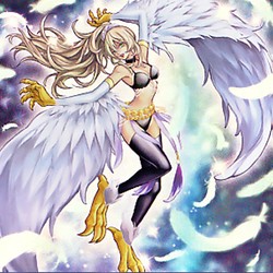 那个在古城吃梦的鸟身女妖丨一场关于执念的独白