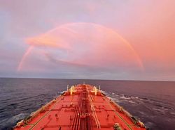 彩虹计划墨西哥湾新发现｜自然奇迹背后的秘密