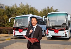 撒哈拉的神秘之光丨空间金龙的秘密