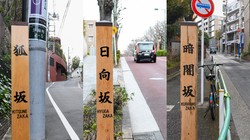 东方日行幽灵丨一个关于自然的传奇