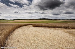 麦田怪圈背后的真相：拉普兰的神秘现象