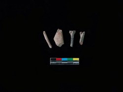 符号再现骨骸残迹！