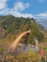 神农架的斯芬克斯时间｜在森林深处与时间赛跑