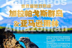 夜色下的守护者｜中东夜行火蜥的神秘传说与现实