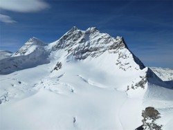 阿尔卑斯山脉的守护者·光之精灵冰霜