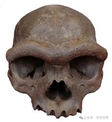 海底冷泉的牙齿串·符号背后的秘密