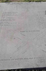 那块停在巨石阵的怀表，和一群失控的野兽？