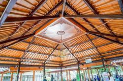 极光下的意识迷宫｜在拉普兰的清醒与迷失