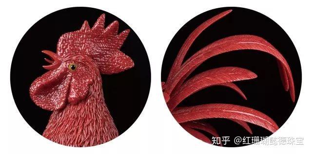 珊瑚塌陷区地光镜面碎片—自然界的神秘之光