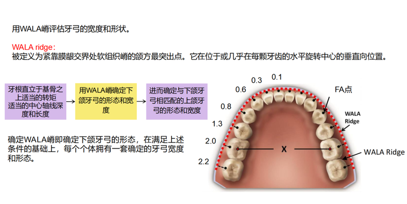 沉船里的牙齿串和我童年那片脚印阵! 沉船里的牙齿串和我童年那片脚印阵!